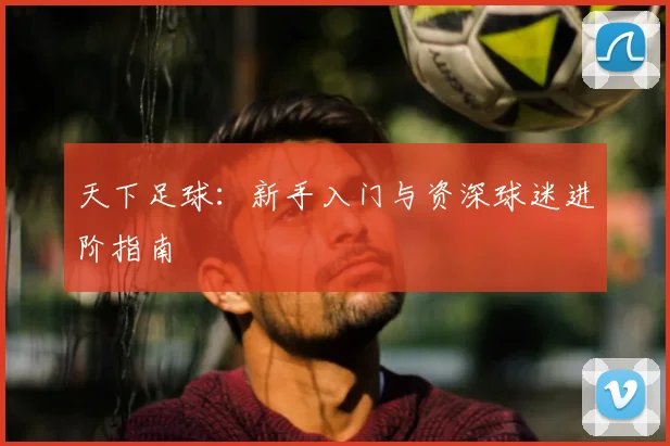 天下足球：新手入门与资深球迷进阶指南