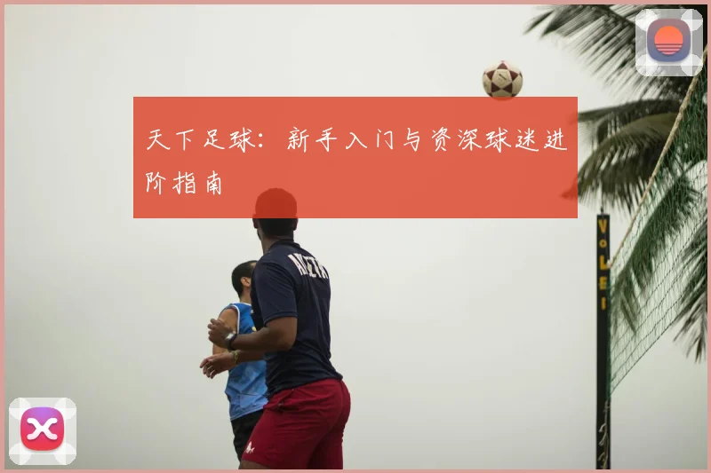 天下足球:新手入门与资深球迷进阶指南